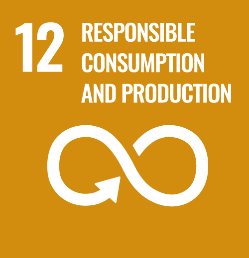 12 RESPONSIBLE CONSUMPTION AND PRODUCTION