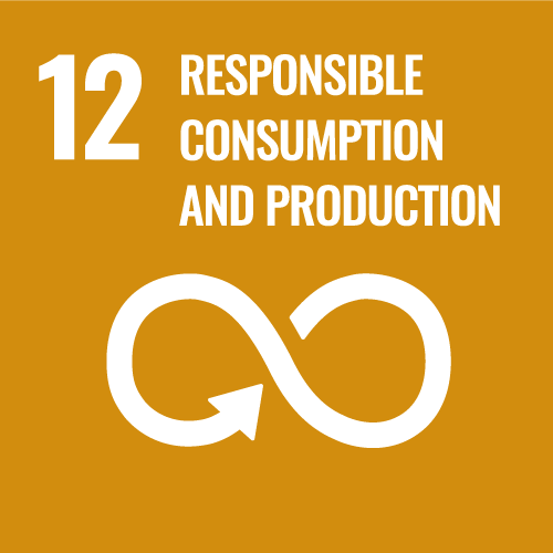 12 RESPONSIBLE CONSUMPTION AND PRODUCTION