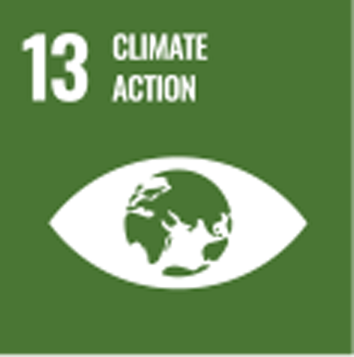 13 CLIMATE ACTION