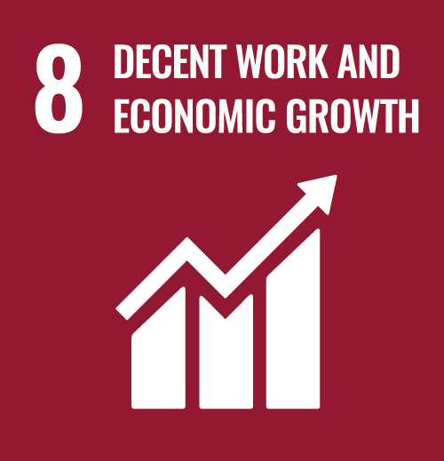 8 DECENT WORK AND ECONOMIC GROWTH