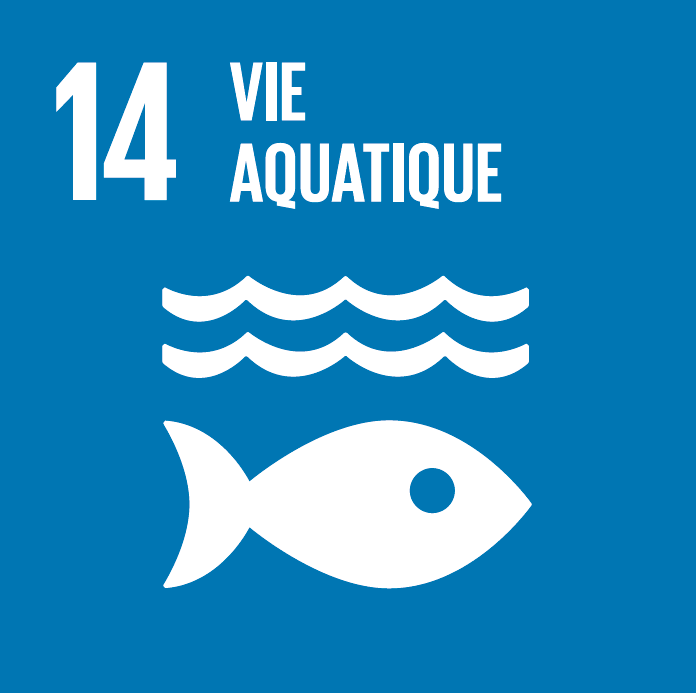 Vie aquatique