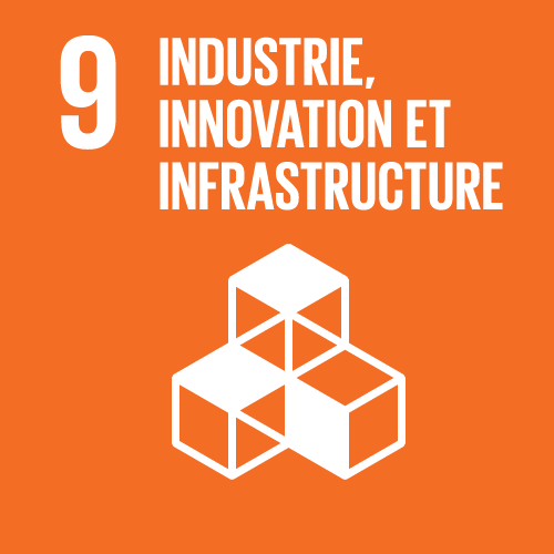 Industrie, innovation et infrastructure