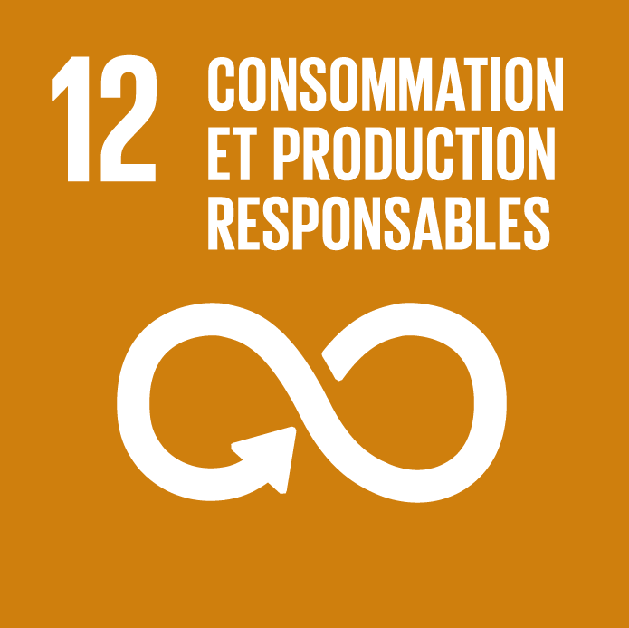 Consommation et production responsables