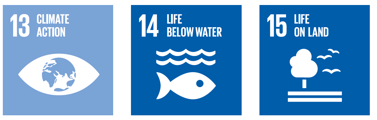 13 Climate Action. 14 Life Below Water. 15 Life on land