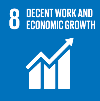 8 decent work and economic growth