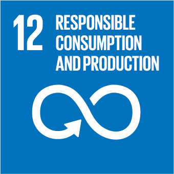 12 responsable consumption and production