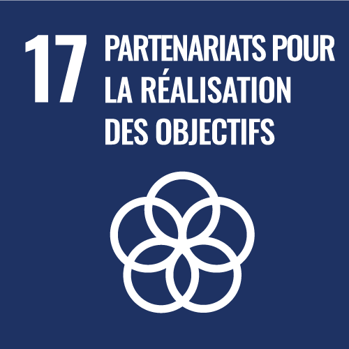 17, partenariats pour la réalisation des objectifs