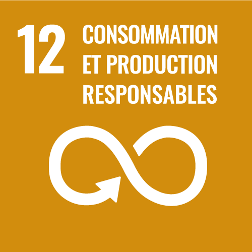 12, consommation et production responsables