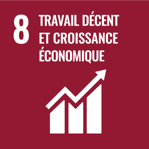 8, travail décent et croissance économique